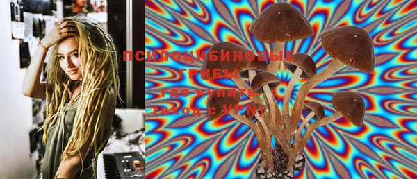 дмт Балахна