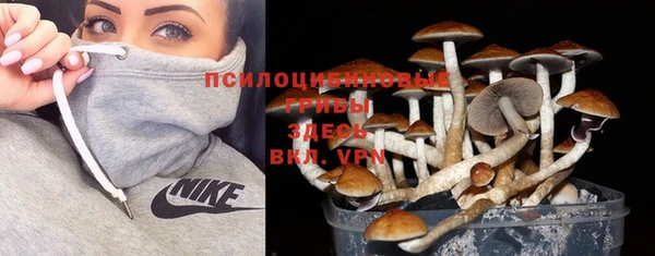 дмт Балахна